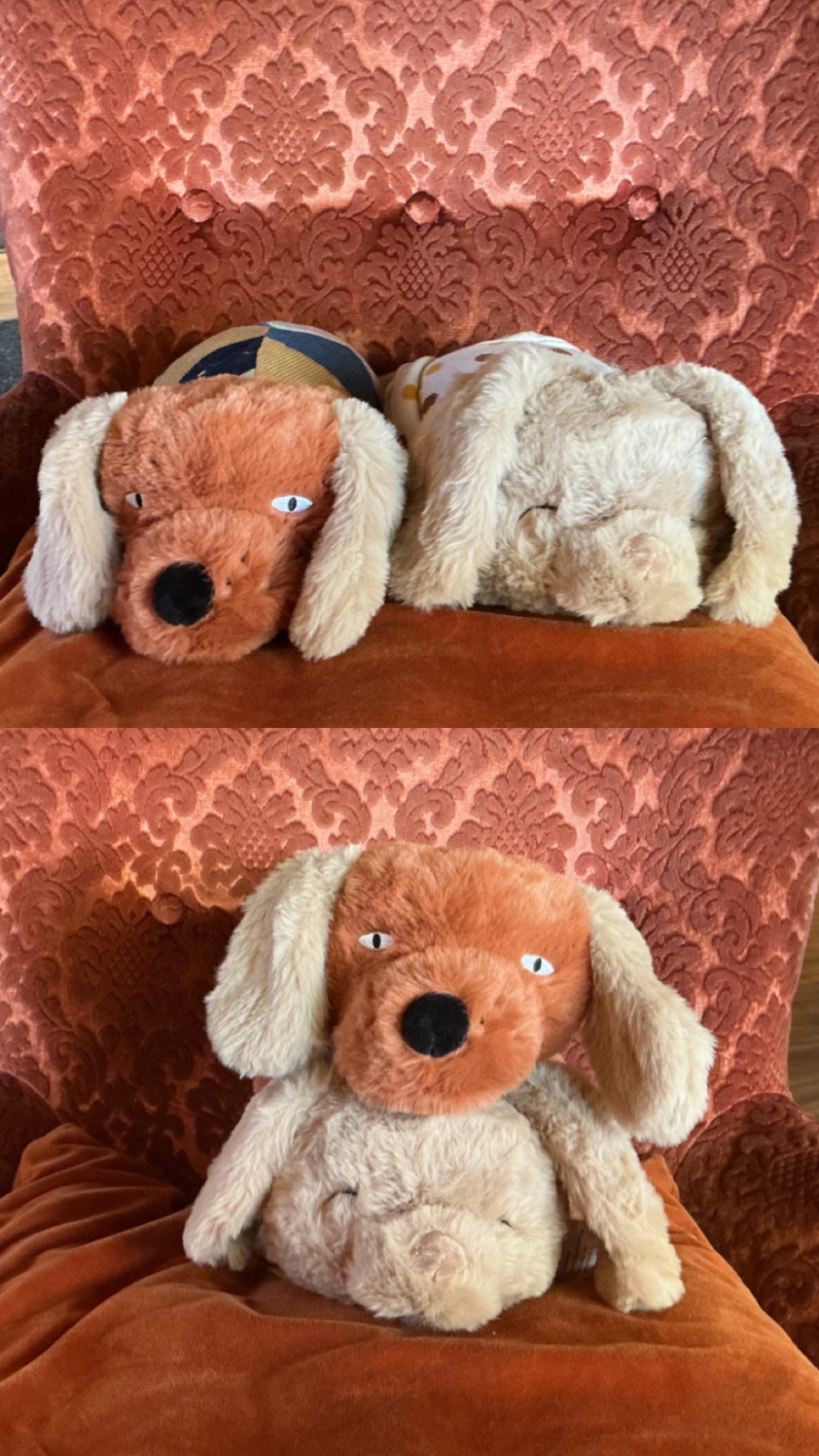 🧸🧸