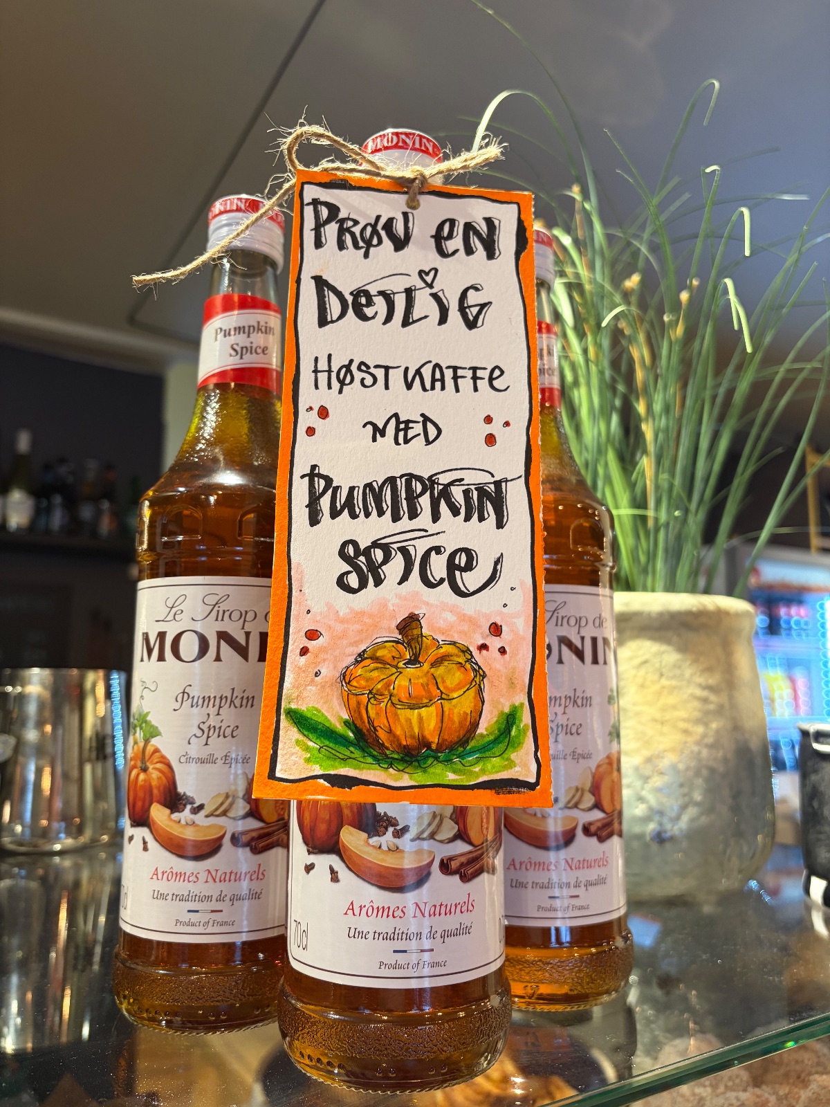 Pumpkin Spice Latte🎃